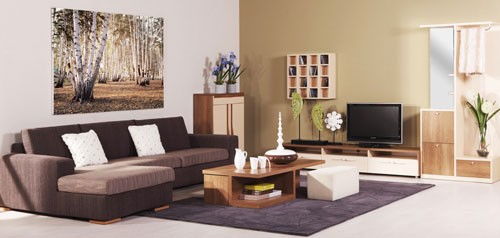 家具清潔保養(yǎng)指南 擦拭家具的技巧與要點(diǎn)